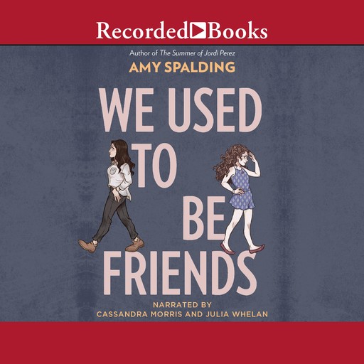 We Used to Be Friends, Amy Spalding