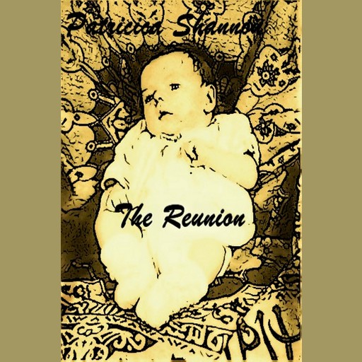 The Reunion (Daniel McPherson Book 3), Patricia Shannon