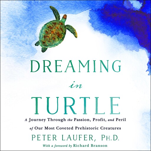 Dreaming in Turtle, Peter Laufer
