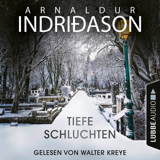 Tiefe Schluchten (Ungekürzt), Arnaldur Indriðason