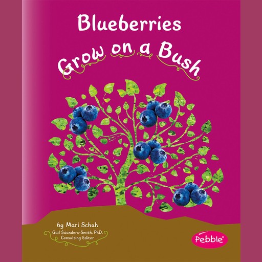 Blueberries Grow on a Bush, Mari Schuh