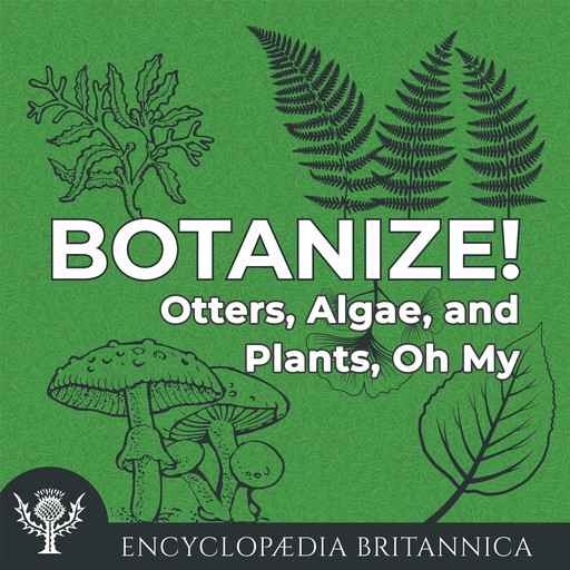 Otters, Algae, and Plants, Oh My, Melissa Petruzzello