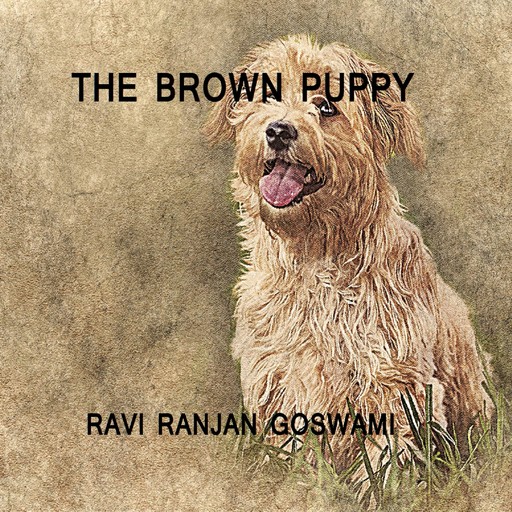 The Brown Puppy, Ravi Ranjan Goswami