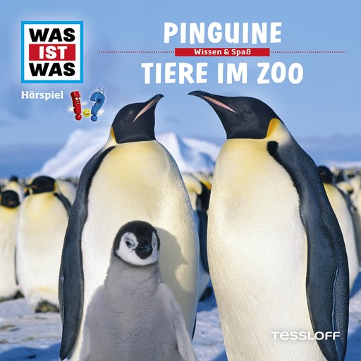 28: Pinguine / Tiere im Zoo, Kurt Haderer