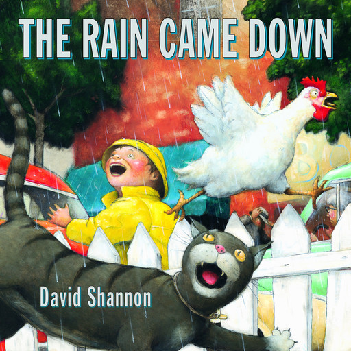 The Rain Came Down, David Shannon