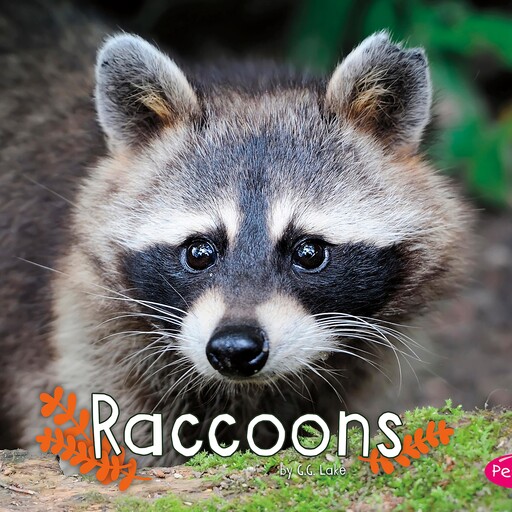 Raccoons, G.G. Lake