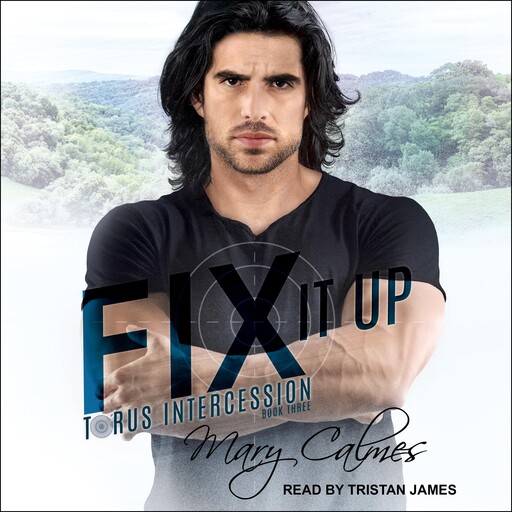 Fix It Up, Mary Calmes