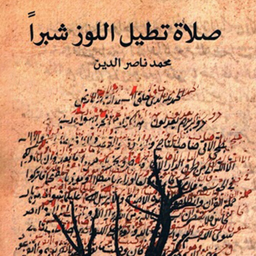 صلاة تطيل اللوز شبراً, محمد ناصر الدين