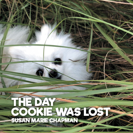 The Day Cookie Was Lost, Susan Marie Chapman