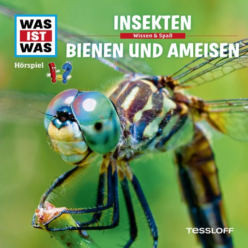 37: Insekten / Bienen und Ameisen, Kurt Haderer
