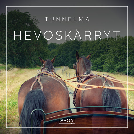 Tunnelma - Hevoskärryt, Rasmus Broe