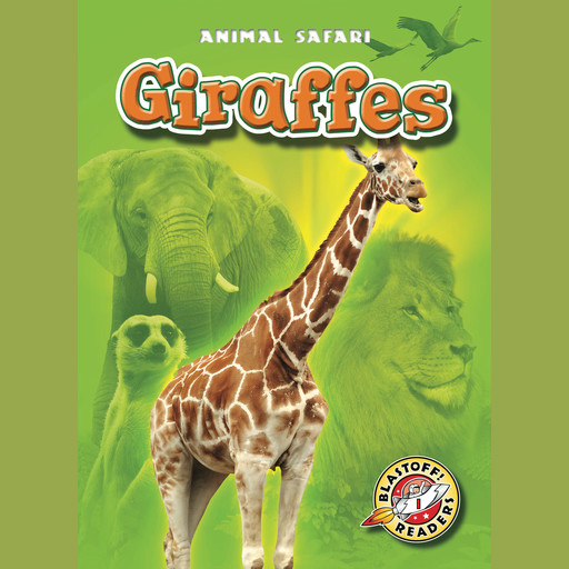Giraffes, Kari Schuetz