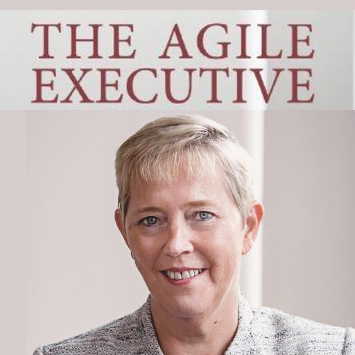 The Agile Executive, Marianne Broadbent