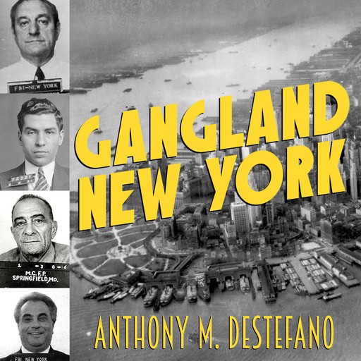 Gangland New York, Anthony DeStefano