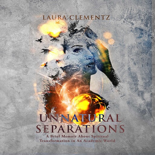 Unnatural Separations, Laura Clementz