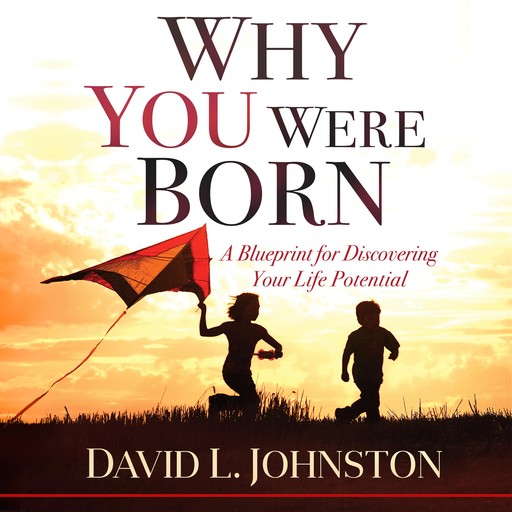 Why You Were Born, David Johnston