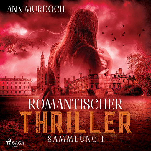Romantischer Thriller Sammlung 1, Ann Murdoch