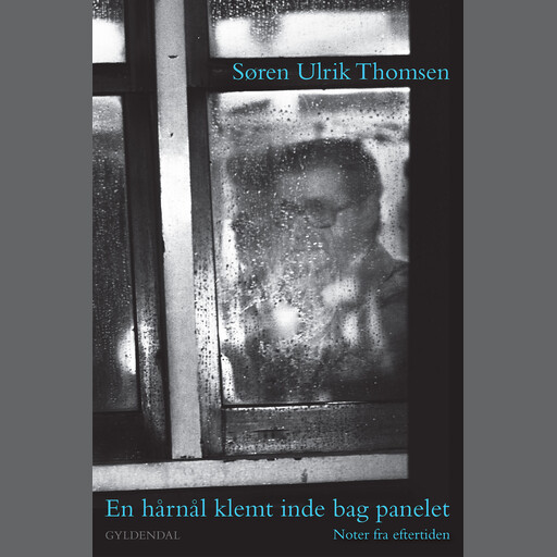 En hårnål klemt inde bag panelet, Søren Ulrik Thomsen