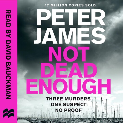 Not Dead Enough, Peter James