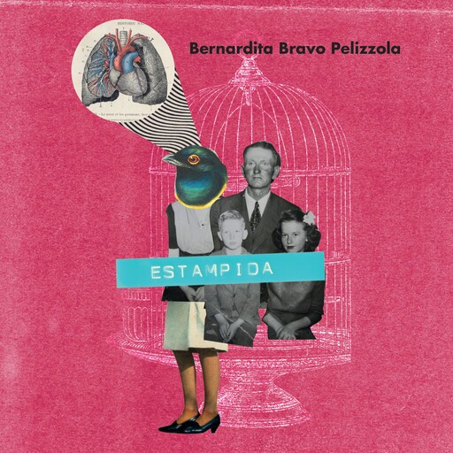 Estampida, Bernardita Bravo Prlizzola