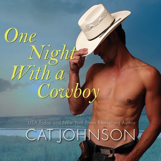 One Night With a Cowboy, Cat Johnson