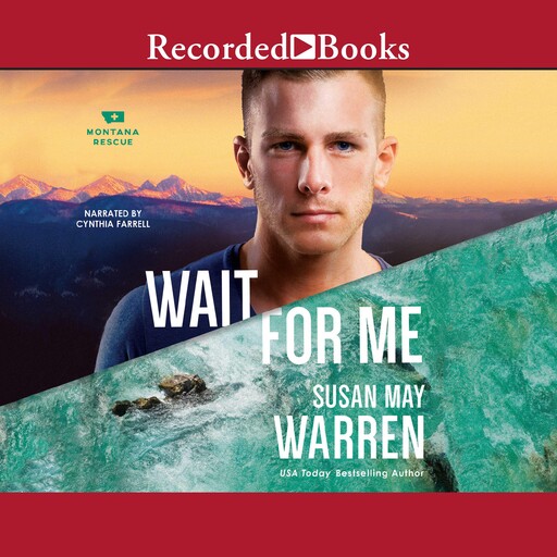 Wait For Me, Susan Warren