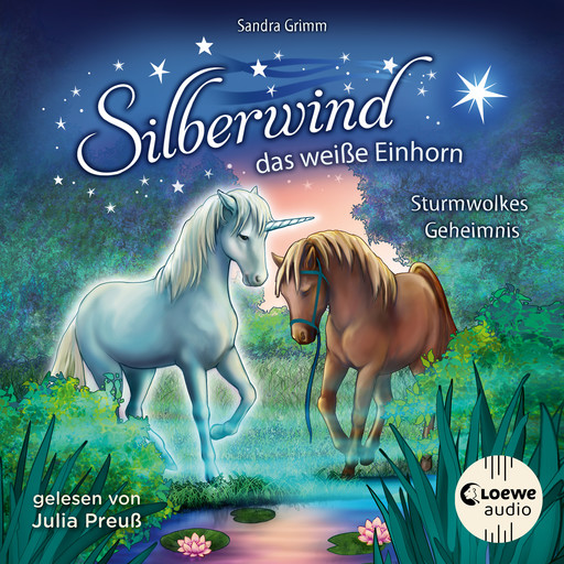 Silberwind, das weiße Einhorn (Band 4) - Sturmwolkes Geheimnis, Sandra Grimm