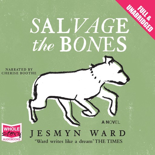 Salvage the Bones, Jesmyn Ward