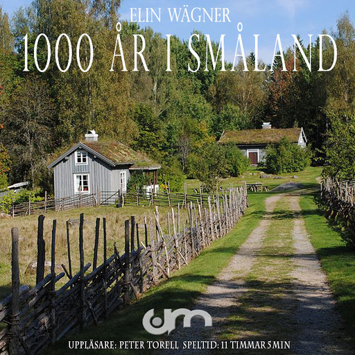 Tusen år i Småland, Elin Wägner