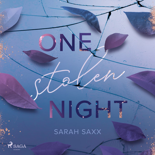One Stolen Night, Sarah Saxx