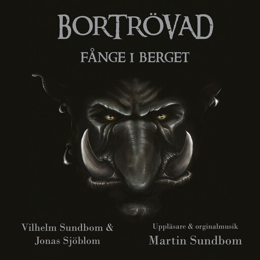 Fånge i berget, Vilhelm Sundbom