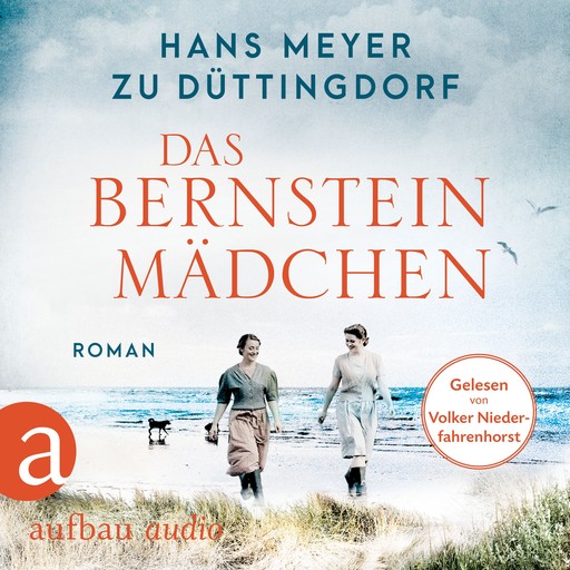 Das Bernsteinmädchen (Ungekürzt), Hans Meyer zu Düttingdorf