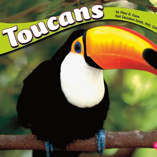 Toucans, Mary Dunn
