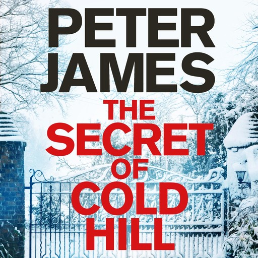 The Secret of Cold Hill, Peter James