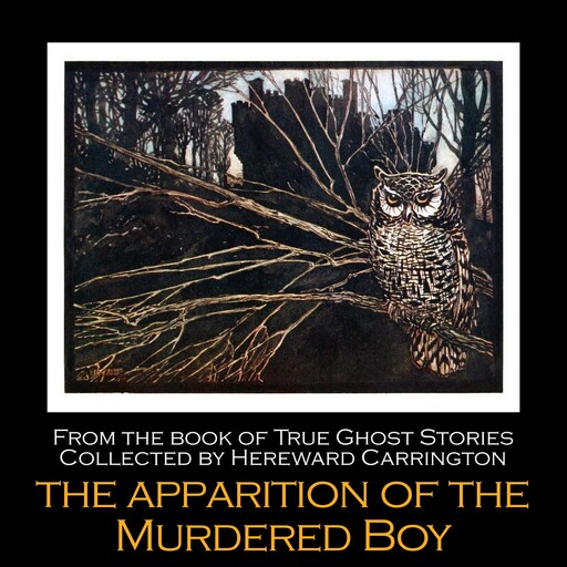 The Apparition of the Murdered Boy, Hereward Carrington
