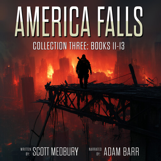 America Falls Collection 3, Scott Medbury