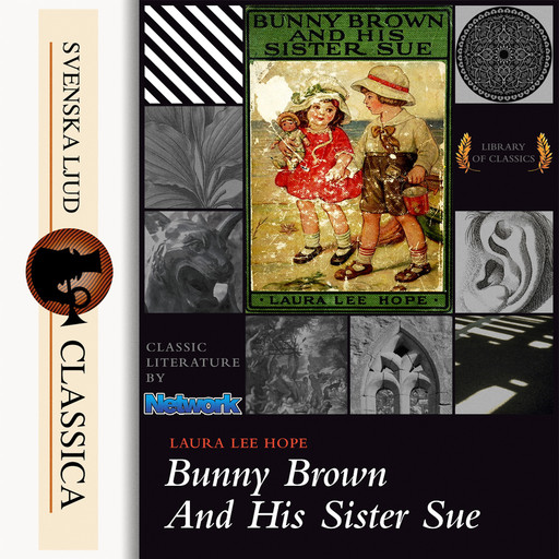 Bunny Brown and his Sister Sue, Laura Lee Hope
