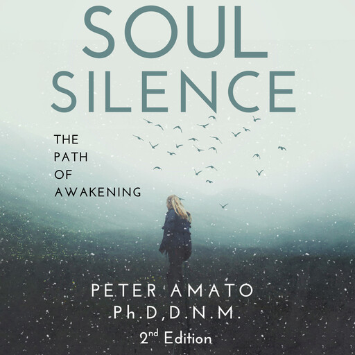 Soul Silence, Peter Amato Ph.D. D.N. M