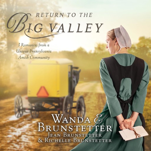 Return to the Big Valley, Wanda E Brunstetter, Jean Brunstetter, Richelle Brunstetter