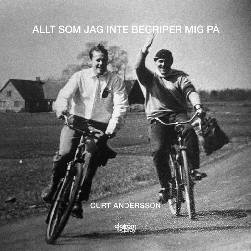 Allt som jag inte begriper mig på, Curt Andersson
