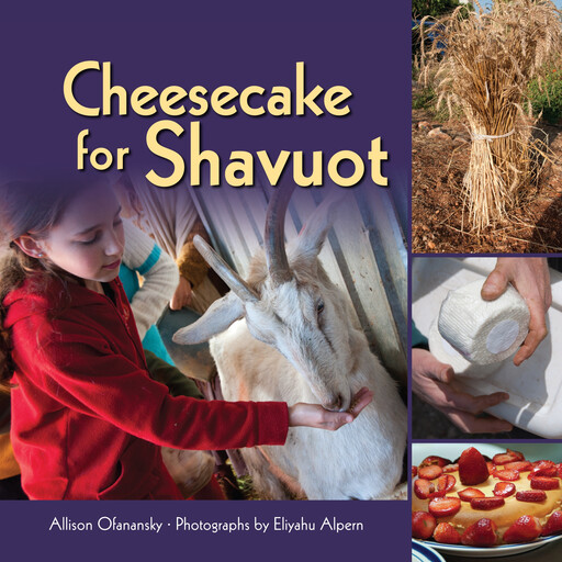 Cheesecake for Shavuot, Allison Maile Ofanansky