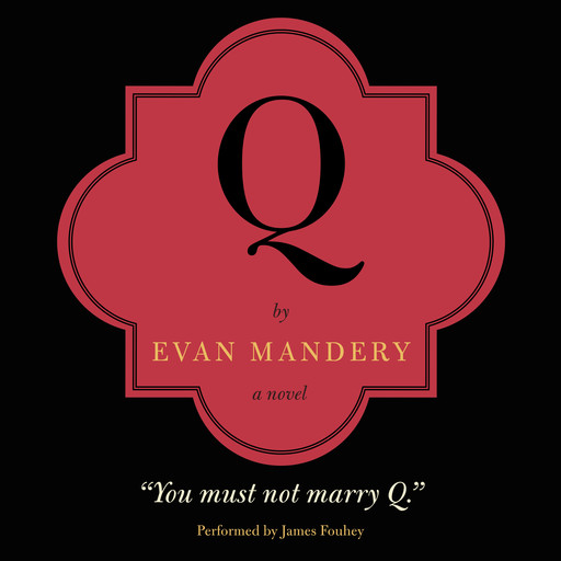 Q: A Novel, Evan Mandery
