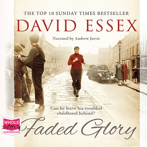 Faded Glory, David Essex