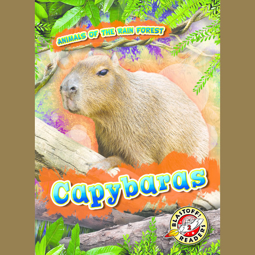 Capybaras, Rachel Grack