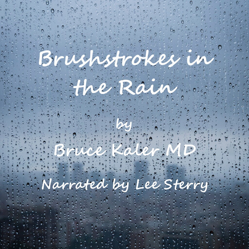 Brushstrokes in the Rain, Bruce Kaler