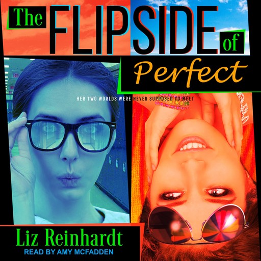 The Flipside of Perfect, Liz Reinhardt