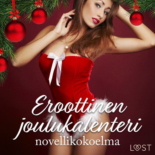 Eroottinen joulukalenteri: novellikokoelma, LUST authors