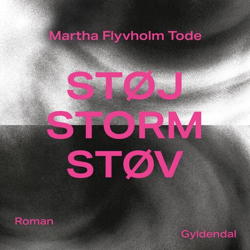 Støj, storm, støv, Martha Flyvholm Tode