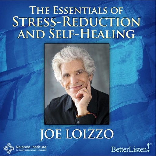 The Essentials of Stress-Reduction and Self-Healing, Joe Loizzo