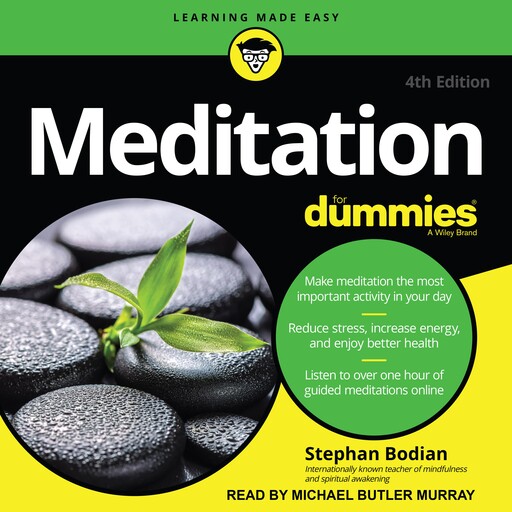 Meditation For Dummies, Stephan Bodian